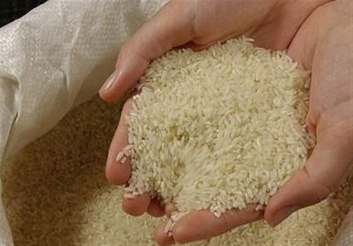 کشت برنج در خوزستان ممنوع شد
