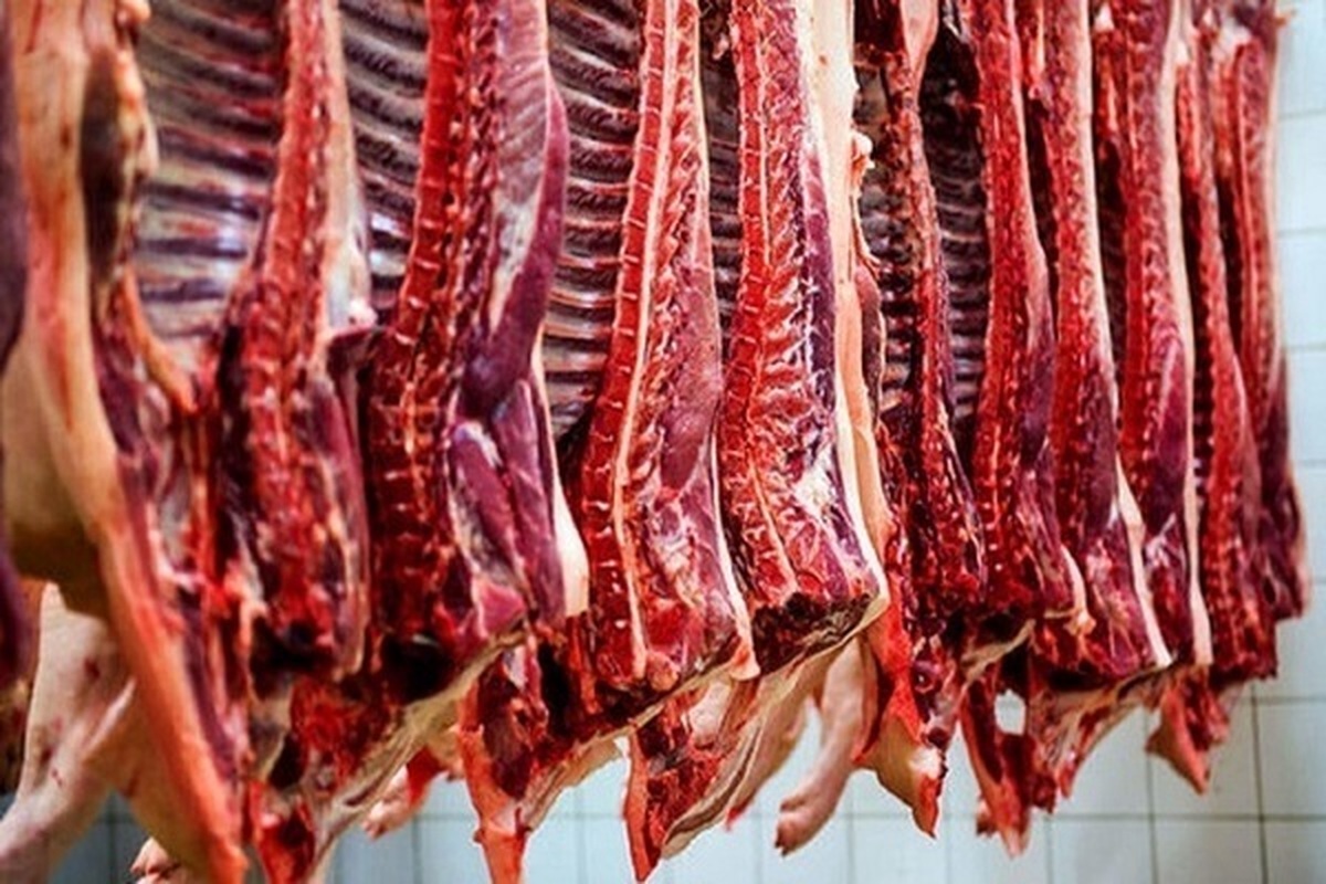 ماراتن جدید برای افزایش قیمت گوشت