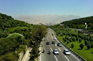 مخاطب 24