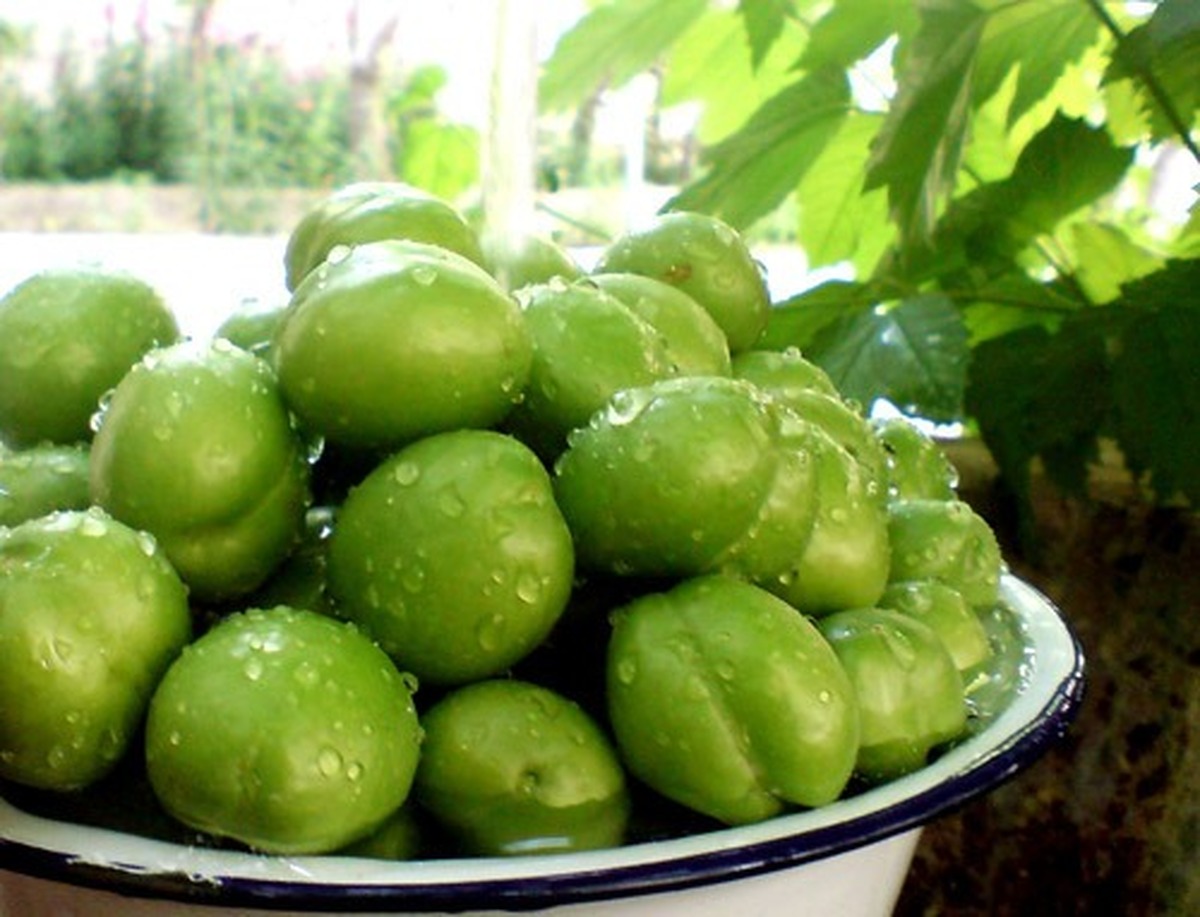 نباید گوجه سبز زیاد بخوریم!