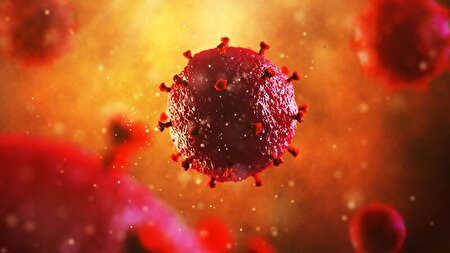 انتقال HPV از استخر و سرویس بهداشتی عمومی