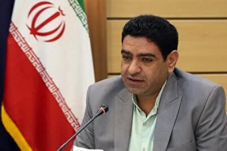تسهیلات مشاغل خانگی بهتر است به شکل فردی پرداخت نشود