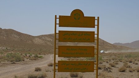 شکار بی رحمی در دل طبیعت!