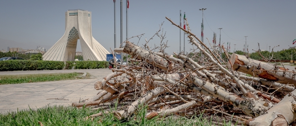 نگران نباشید درختان اطراف آزادی را قانونی می‌کشیم!
