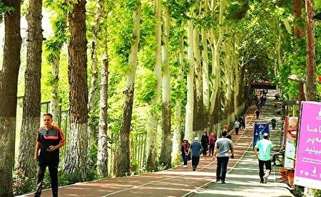 آثار شگفت انگیز کاهش فشار خون