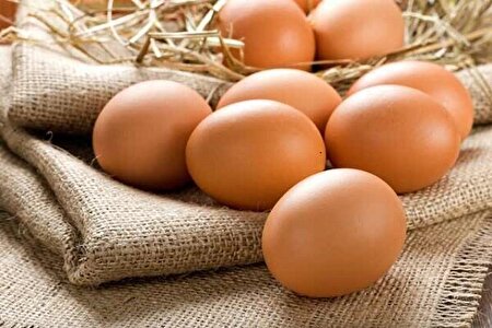آنچه درباره تخم مرغ نمی‌دانید