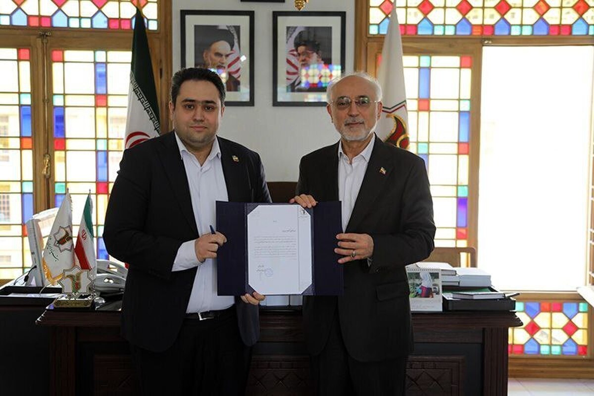 داماد روحانی چه سمتی گرفت؟