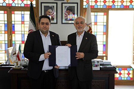 داماد روحانی چه سمتی گرفت؟