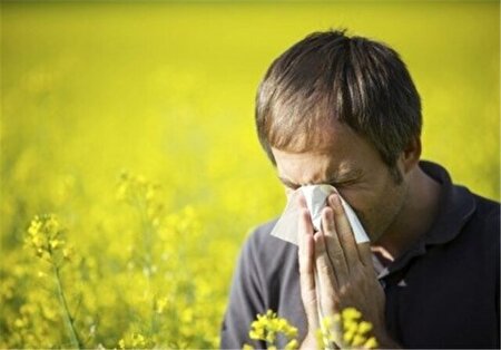 آلرژی تابستانی بر سیستم تنفسی تاثیر می‌گذارد