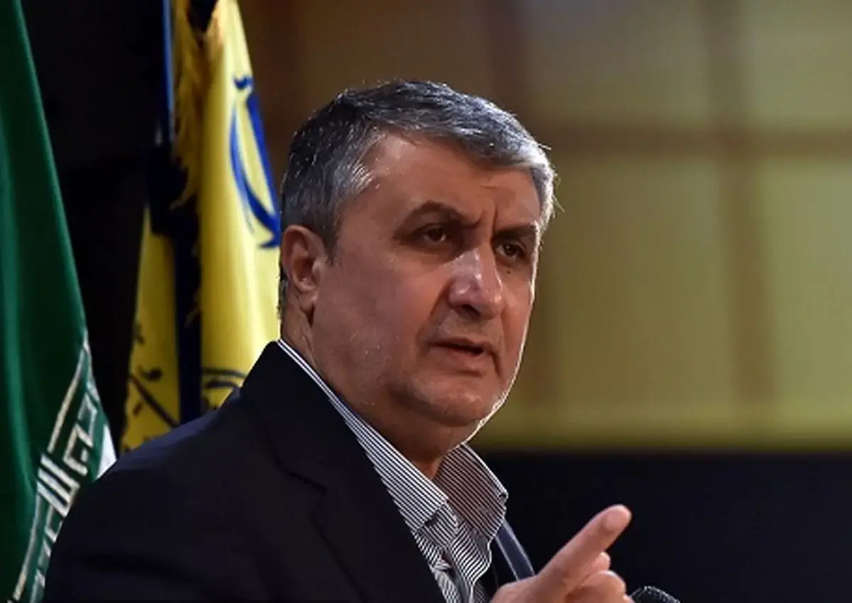 سفر دو بازرس آژانس به ایران با مجوز شورای عالی امنیت ملی
