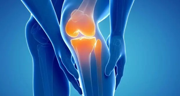 کشف جدید دانشمندان استخوان‌ها را از نو می‌سازد