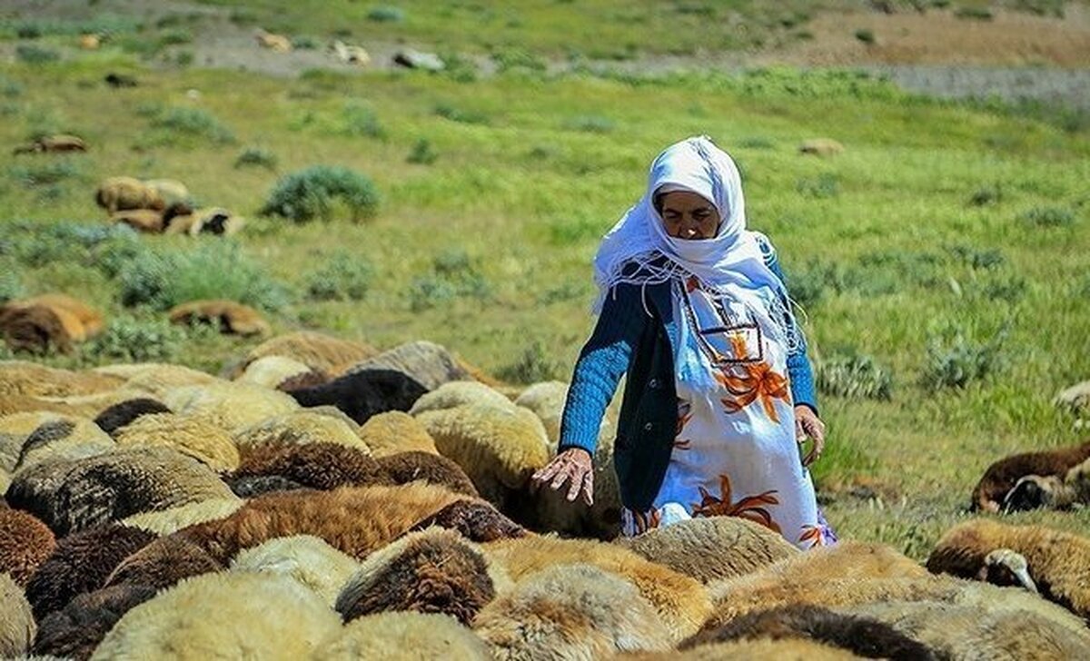 روستا و عشایر؛ ریشه‌های زنده توسعه ملی ایران