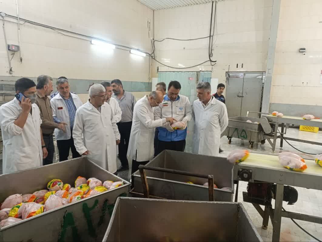 بازدید شبانه معاون اقتصادی استاندار گلستان از کشتارگاه‌های طیور استان