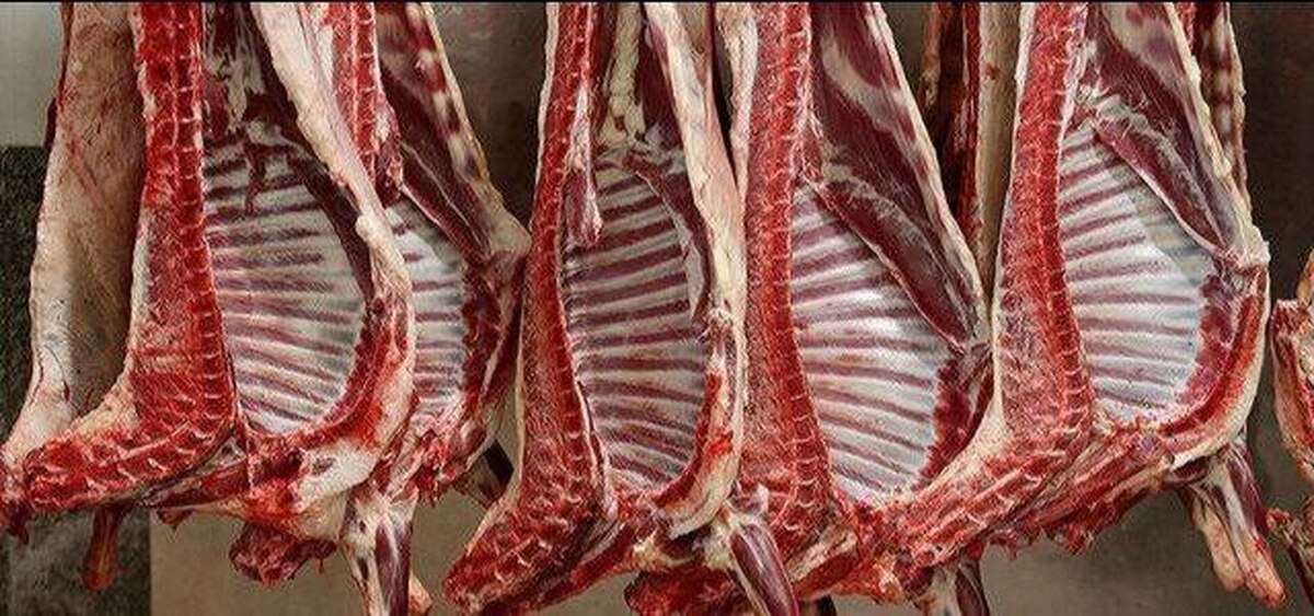 توزیع گوشت وارداتی از هفته آینده