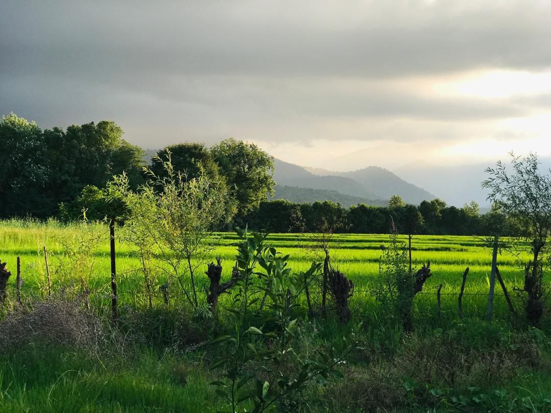 سفر به روستاهای شمال ایران برای دوری از زندگی شهری سفر به روستاهای شمال ایران برای دوری از زندگی شهری