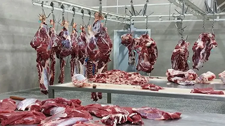 عرضه گوشت گوسفندی با قیمت جدید در تهران