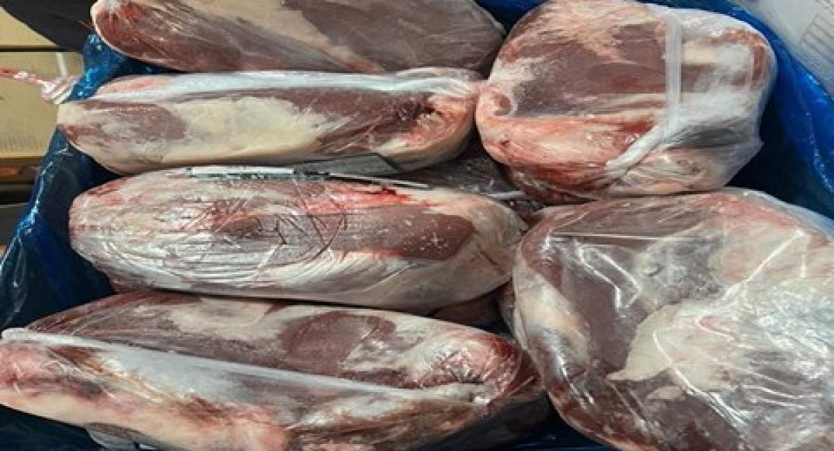 توضیحات معاون وزیر جهاد کشاورزی در خصوص ماجرای واردات گوشت‌های آلوده از مغولستان