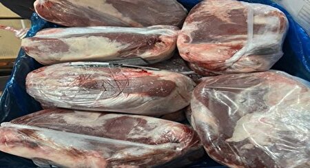 توضیحات معاون وزیر جهاد کشاورزی در خصوص ماجرای واردات گوشتهای آلوده از مغولستان توضیحات معاون وزیر جهاد کشاورزی در خصوص ماجرای واردات گوشتهای آلوده از مغولستان