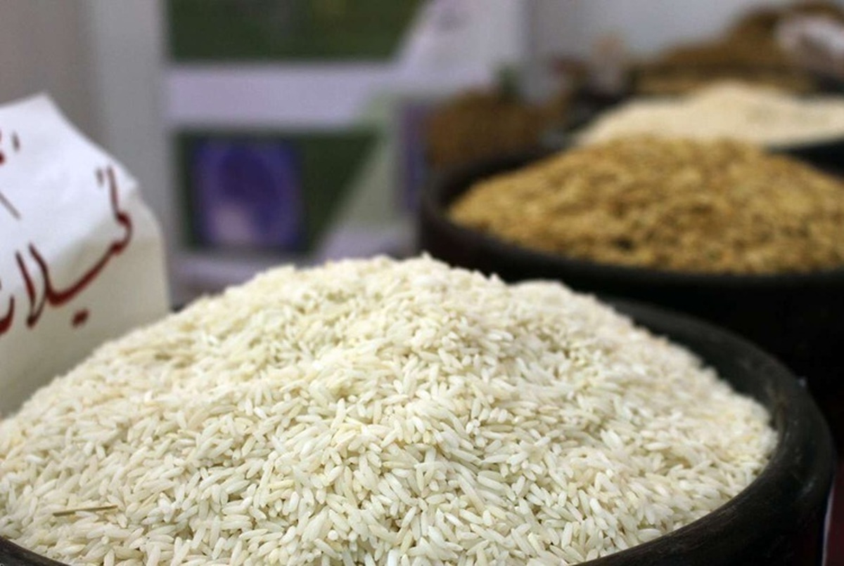 علت نوسان شدید قیمت برنج ایرانی