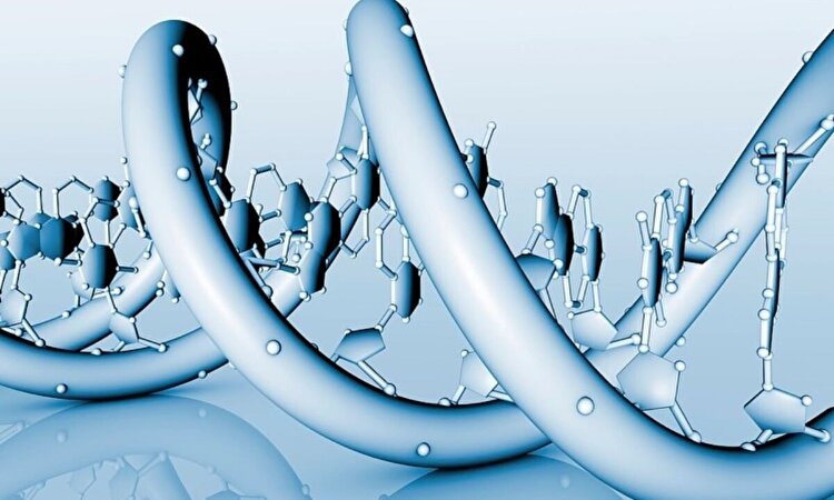 هوش مصنوعی جدید چینی که بیماری‌ها را پیش‌بینی می‌کند