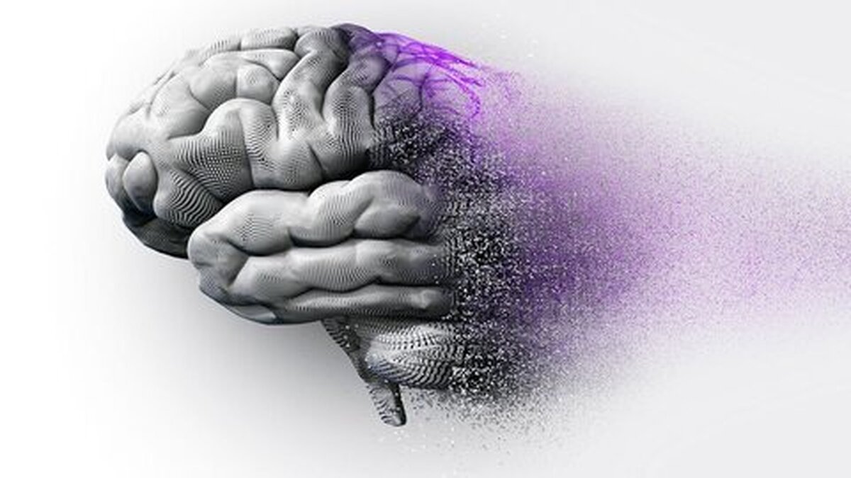 این غذا‌ها مغز شما را رو به زوال می‌برد