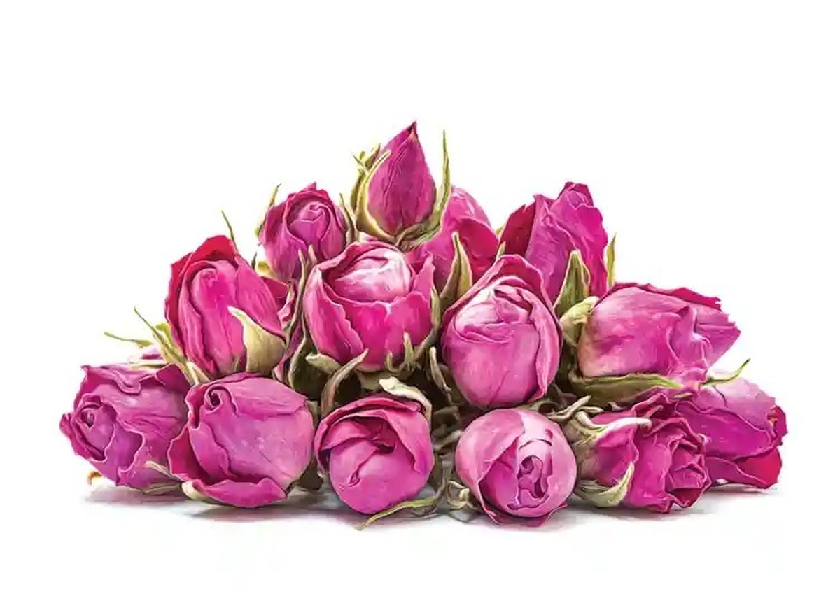 گل محمدی ایران به نام عربستان ثبت جهانی شد