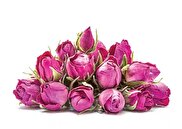 گل محمدی ایران به نام عربستان ثبت جهانی شد