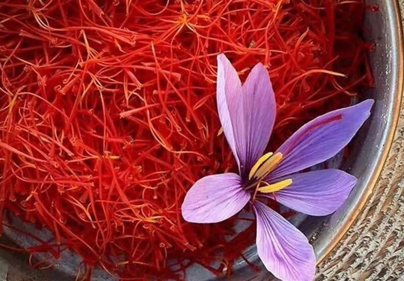 آغاز هفتمین رویداد گردشگری زعفران در بهاباد