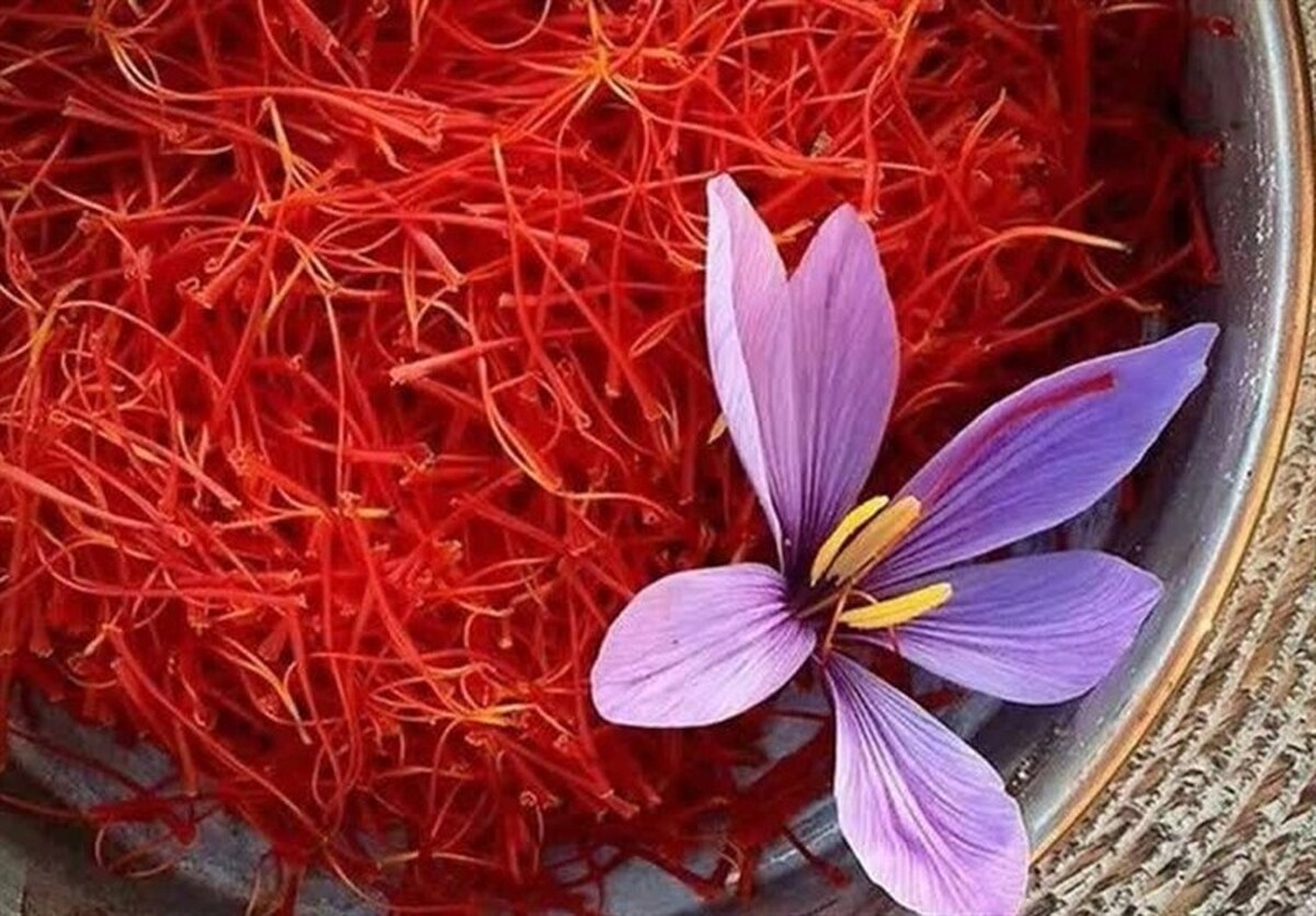 آغاز هفتمین رویداد گردشگری زعفران در بهاباد