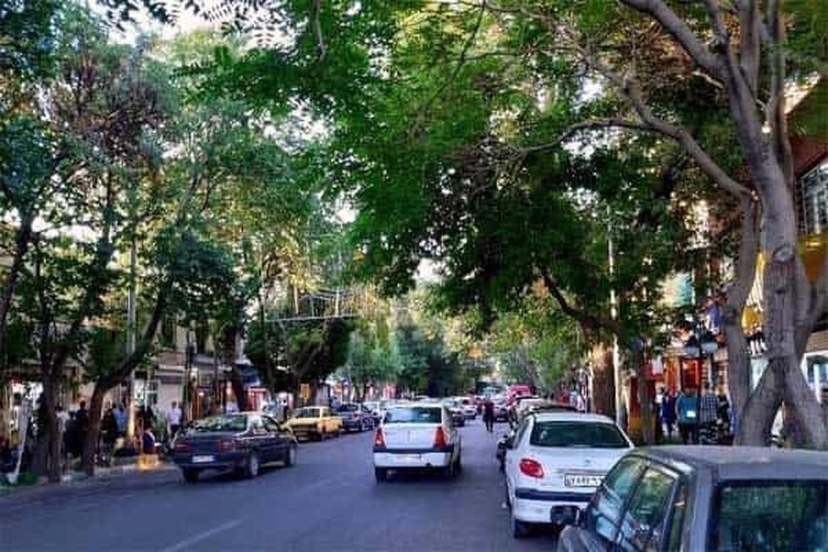 تصویر قدیمی از این خیابان معروف تهران