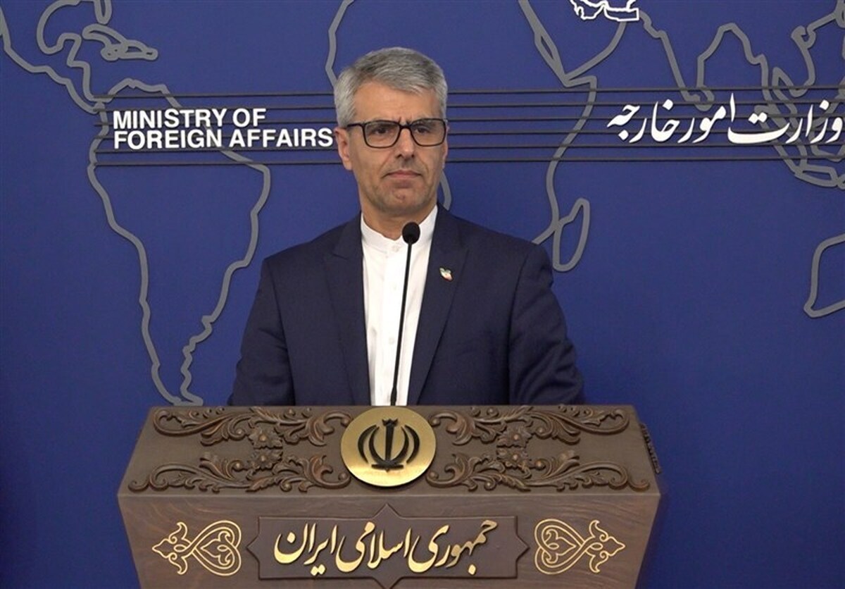 بقائی: مبنای همکاری با آژانس قانون مجلس است