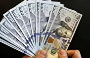 دلار در مسیر طبیعی رشد؛ محدوده ۱۳۰ تا ۱۶۰ هزار تومان پیش‌بینی شد