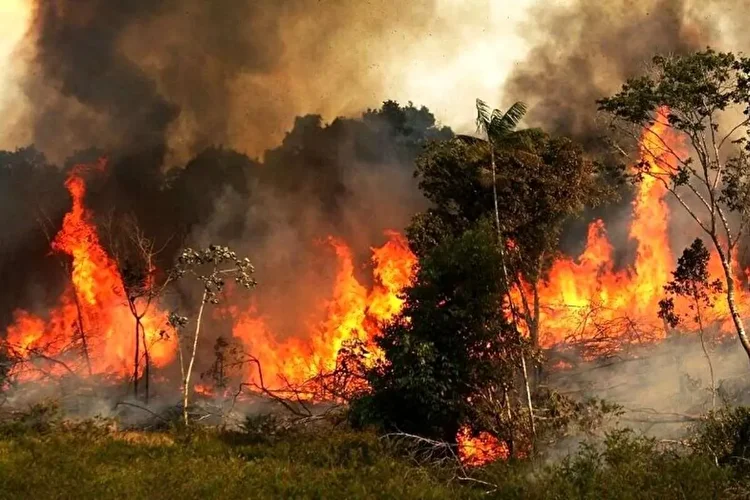 مهار آتش‌سوزی هیرکانی با فناوری نوین و مشارکت جوامع محلی