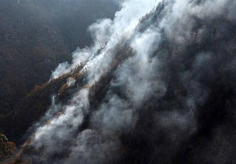 استاندار مازندران: آتش‌سوزی جنگل‌های الیت مهار شد