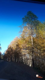 روستای دیلمان، خیره کننده ترین ییلاق گیلان، عکاسی گردشگری