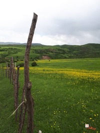 روستای دیلمان، خیره کننده ترین ییلاق گیلان، عکاسی گردشگری