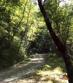 روستای جنگلی اربکله رامسر، عکاسی گردشگری