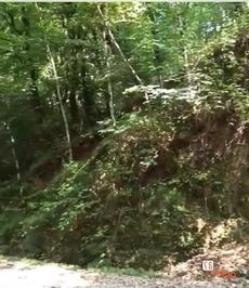 روستای جنگلی اربکله رامسر، عکاسی گردشگری