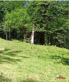 روستای جنگلی اربکله رامسر، عکاسی گردشگری