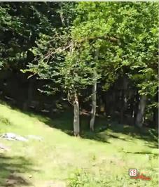 روستای جنگلی اربکله رامسر، عکاسی گردشگری