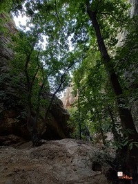 تنگ بستانک، بهشت گمشده فارس، عکاسی گردشگری