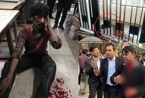 حمله خونین یک پلنگ به ساختمان دادگستری!