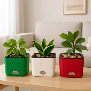 راهنمای جامع خرید گلدان از انتخاب جنس مناسب تا نگهداری اصولی گیاه