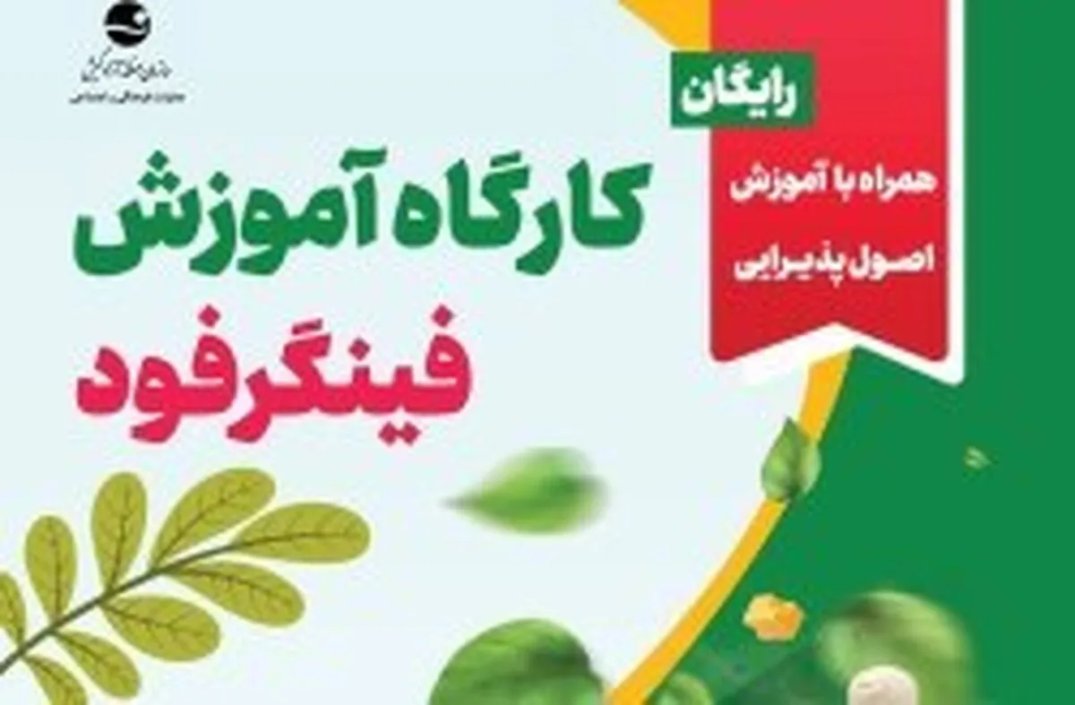 برگزاری کارگاه آموزش فینگر فود در کیش