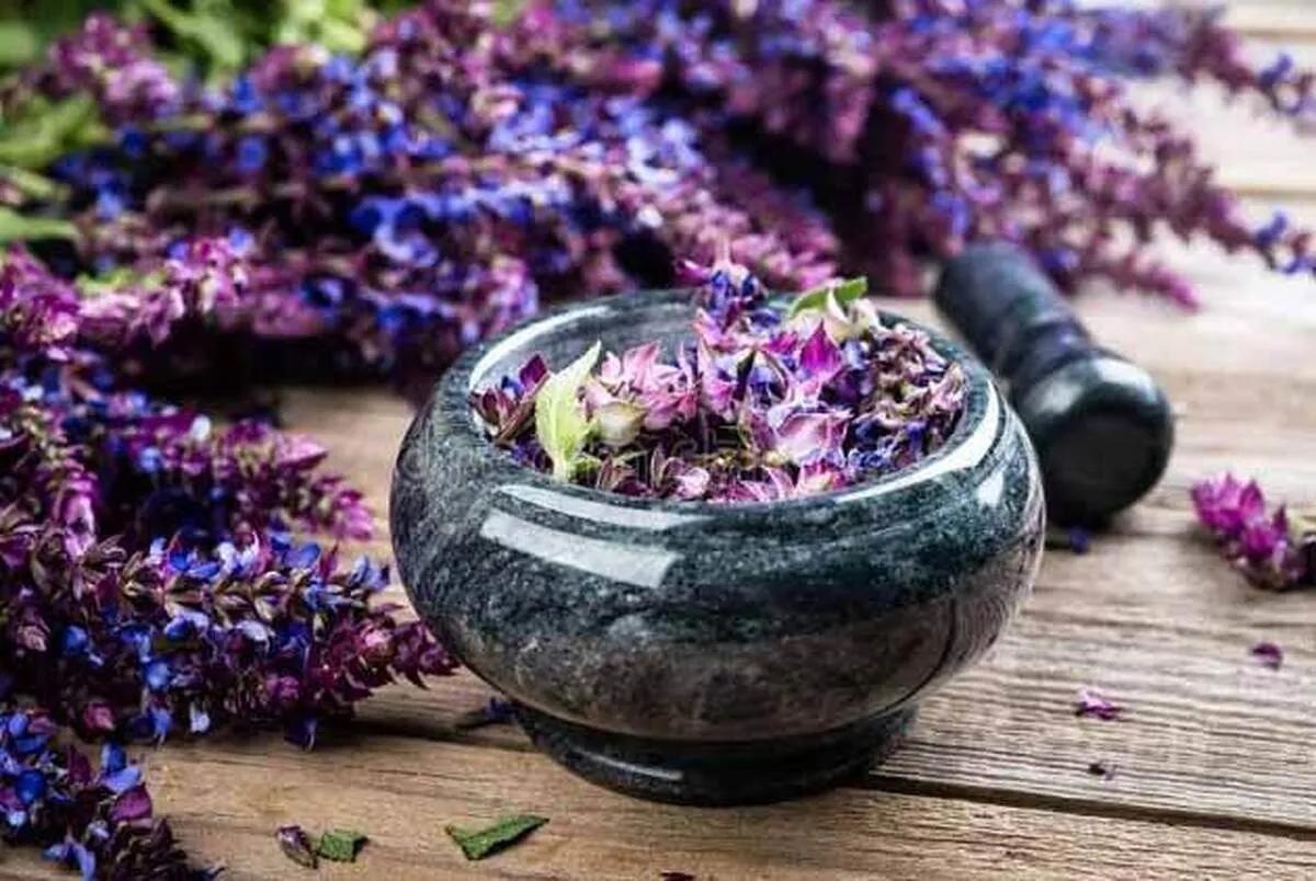 گیاهی که برای دور کردن افکار منفی و افزایش حافظه معجزه می‌کند