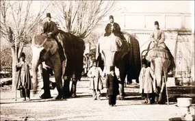 ماجرای ساخت اولین باغ وحش ایران + فیلم
