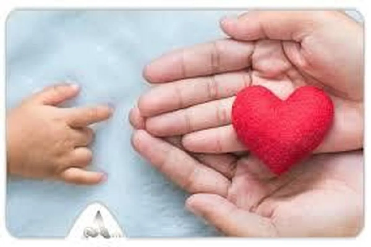 اهدای تخمک قانون مشخصی دارد؟