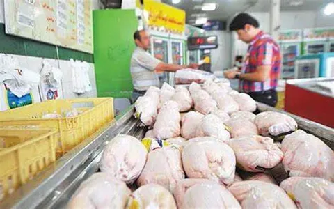 بازگشت مرغ به قیمت مصوب ستاد تنظیم بازار