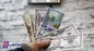 قیمت دلار کاهشی شد؛  قیمت سکه خیز برداشت