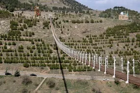 لحظه نجات از پل معلق سنندج + فیلم